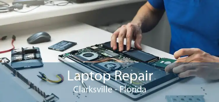 Laptop Repair Clarksville - Florida