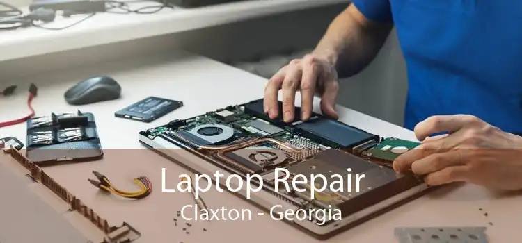 Laptop Repair Claxton - Georgia