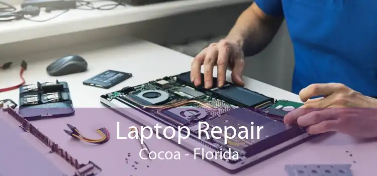 Laptop Repair Cocoa - Florida