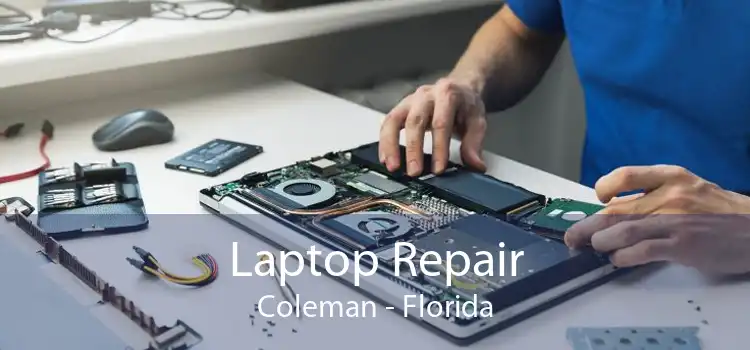 Laptop Repair Coleman - Florida