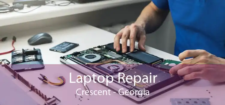 Laptop Repair Crescent - Georgia