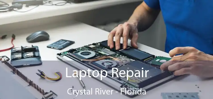 Laptop Repair Crystal River - Florida