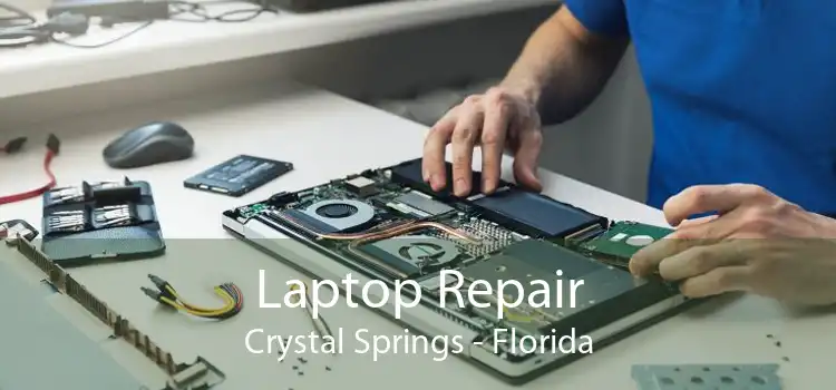 Laptop Repair Crystal Springs - Florida