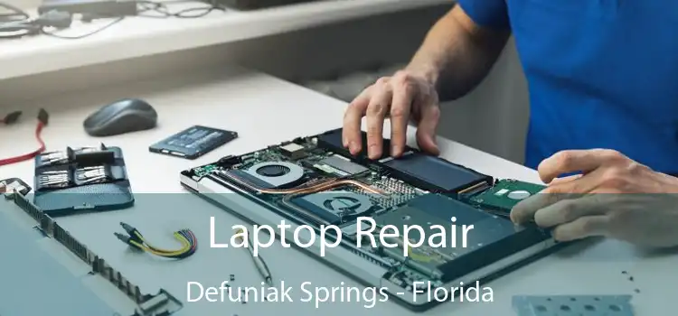 Laptop Repair Defuniak Springs - Florida