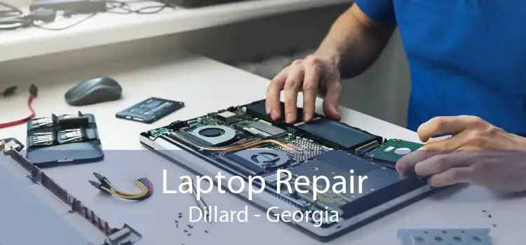 Laptop Repair Dillard - Georgia