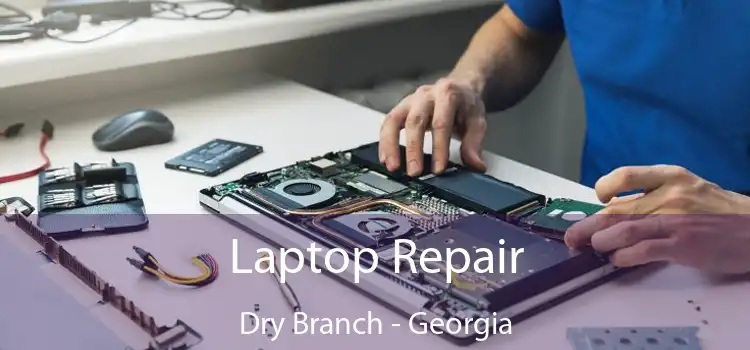 Laptop Repair Dry Branch - Georgia