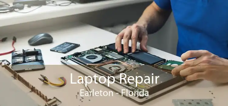 Laptop Repair Earleton - Florida