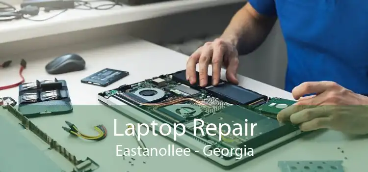 Laptop Repair Eastanollee - Georgia