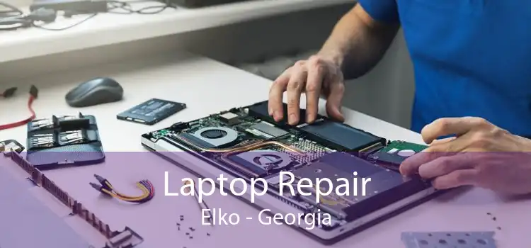 Laptop Repair Elko - Georgia