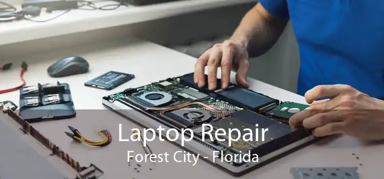 Laptop Repair Forest City - Florida