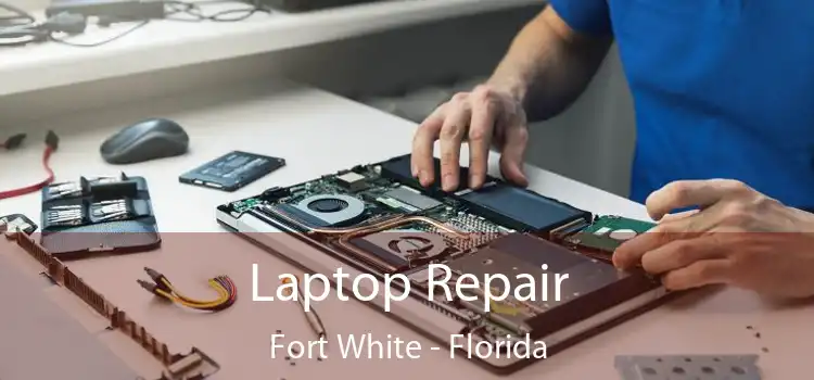 Laptop Repair Fort White - Florida