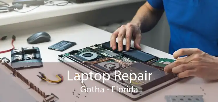 Laptop Repair Gotha - Florida