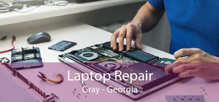 Laptop Repair Gray - Georgia