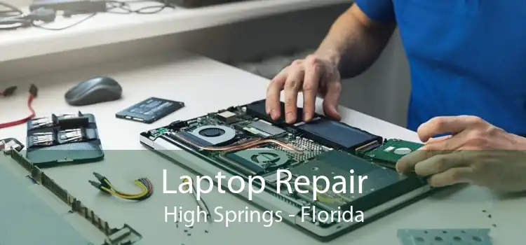 Laptop Repair High Springs - Florida
