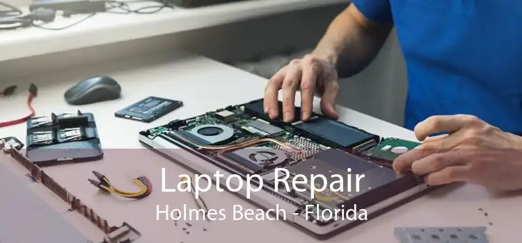 Laptop Repair Holmes Beach - Florida