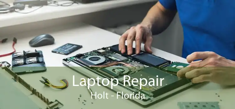 Laptop Repair Holt - Florida