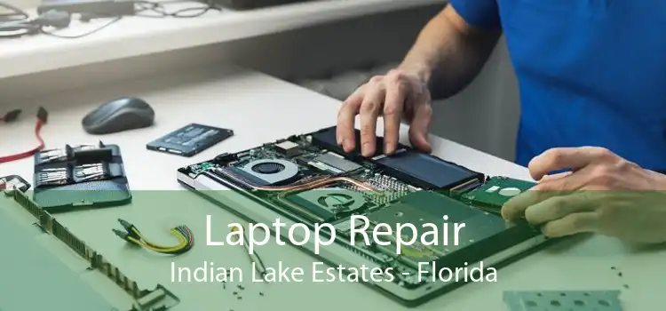 Laptop Repair Indian Lake Estates - Florida