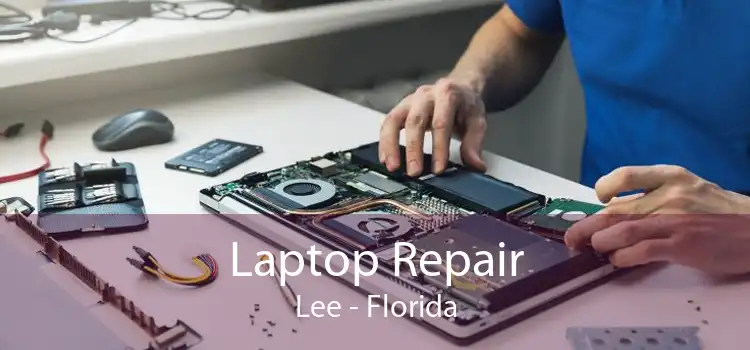 Laptop Repair Lee - Florida