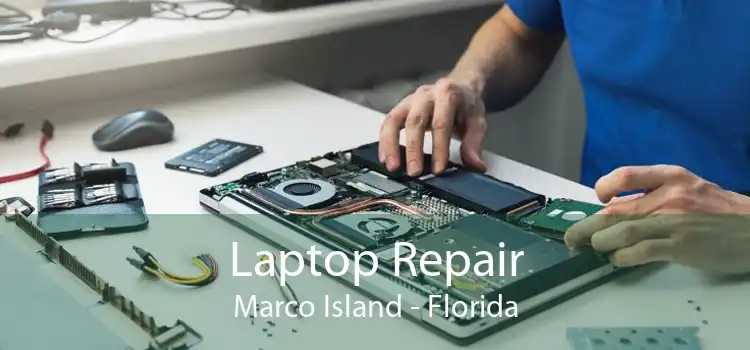Laptop Repair Marco Island - Florida