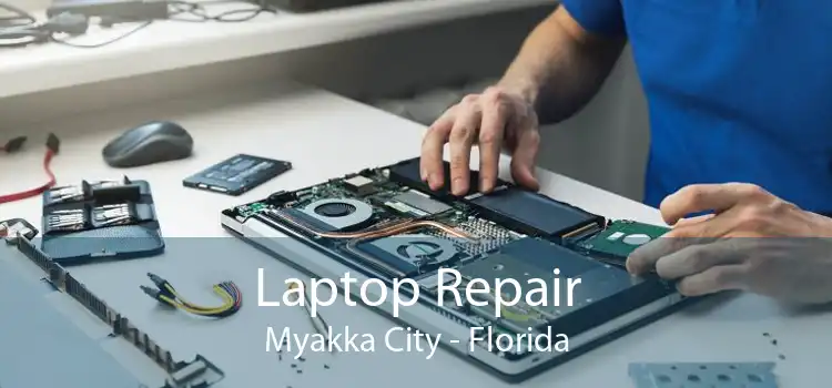 Laptop Repair Myakka City - Florida