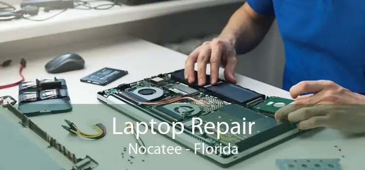 Laptop Repair Nocatee - Florida