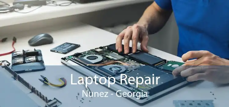 Laptop Repair Nunez - Georgia