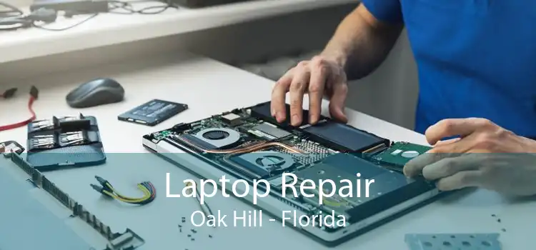 Laptop Repair Oak Hill - Florida
