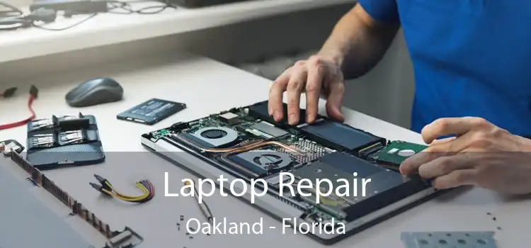 Laptop Repair Oakland - Florida