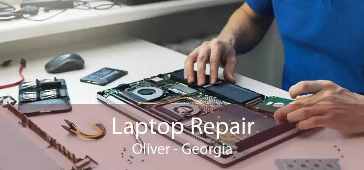 Laptop Repair Oliver - Georgia