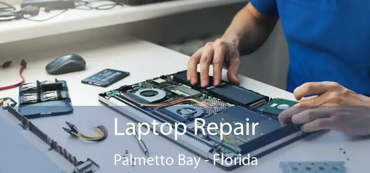 Laptop Repair Palmetto Bay - Florida