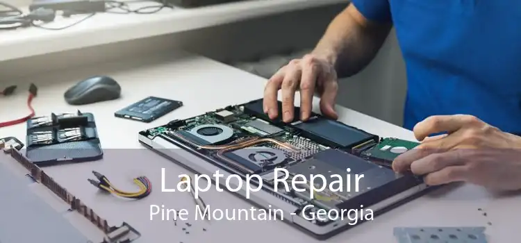 Laptop Repair Pine Mountain - Georgia