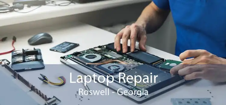 Laptop Repair Roswell - Georgia