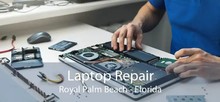 Laptop Repair Royal Palm Beach - Florida