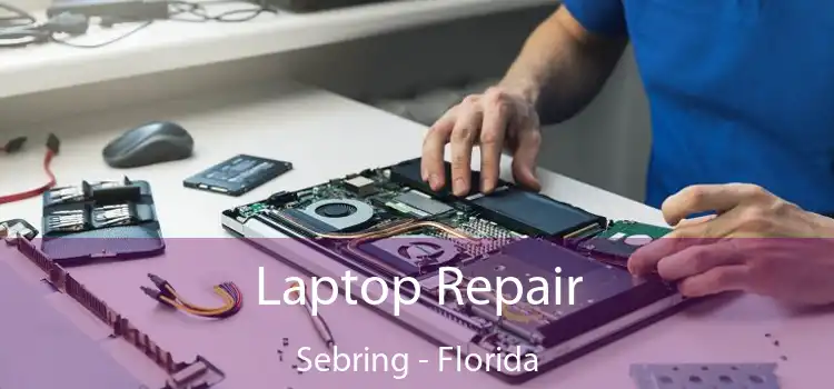 Laptop Repair Sebring - Florida