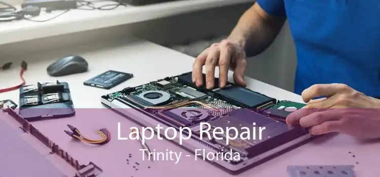 Laptop Repair Trinity - Florida
