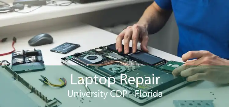 Laptop Repair University CDP - Florida