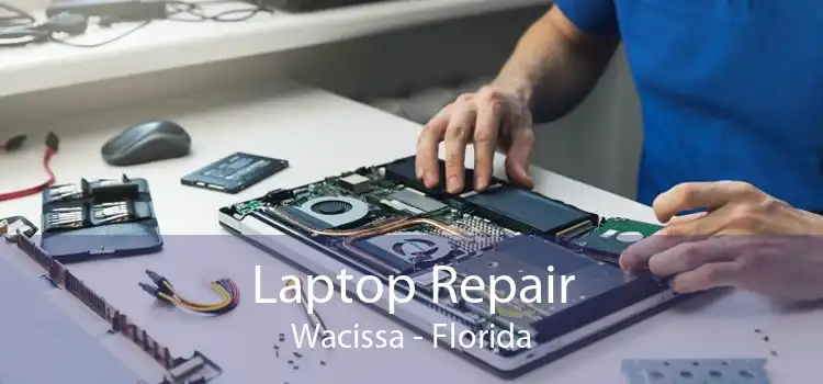 Laptop Repair Wacissa - Florida