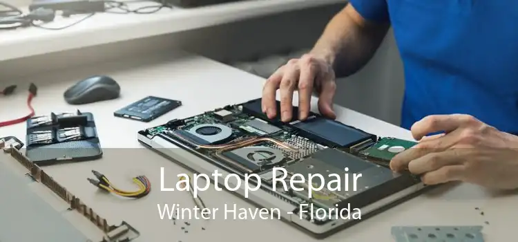 Laptop Repair Winter Haven - Florida